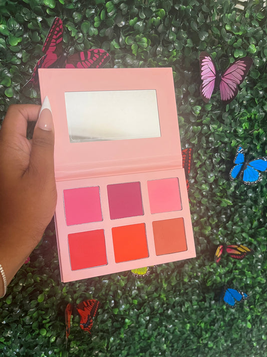Bashful Behavior Blush Palette